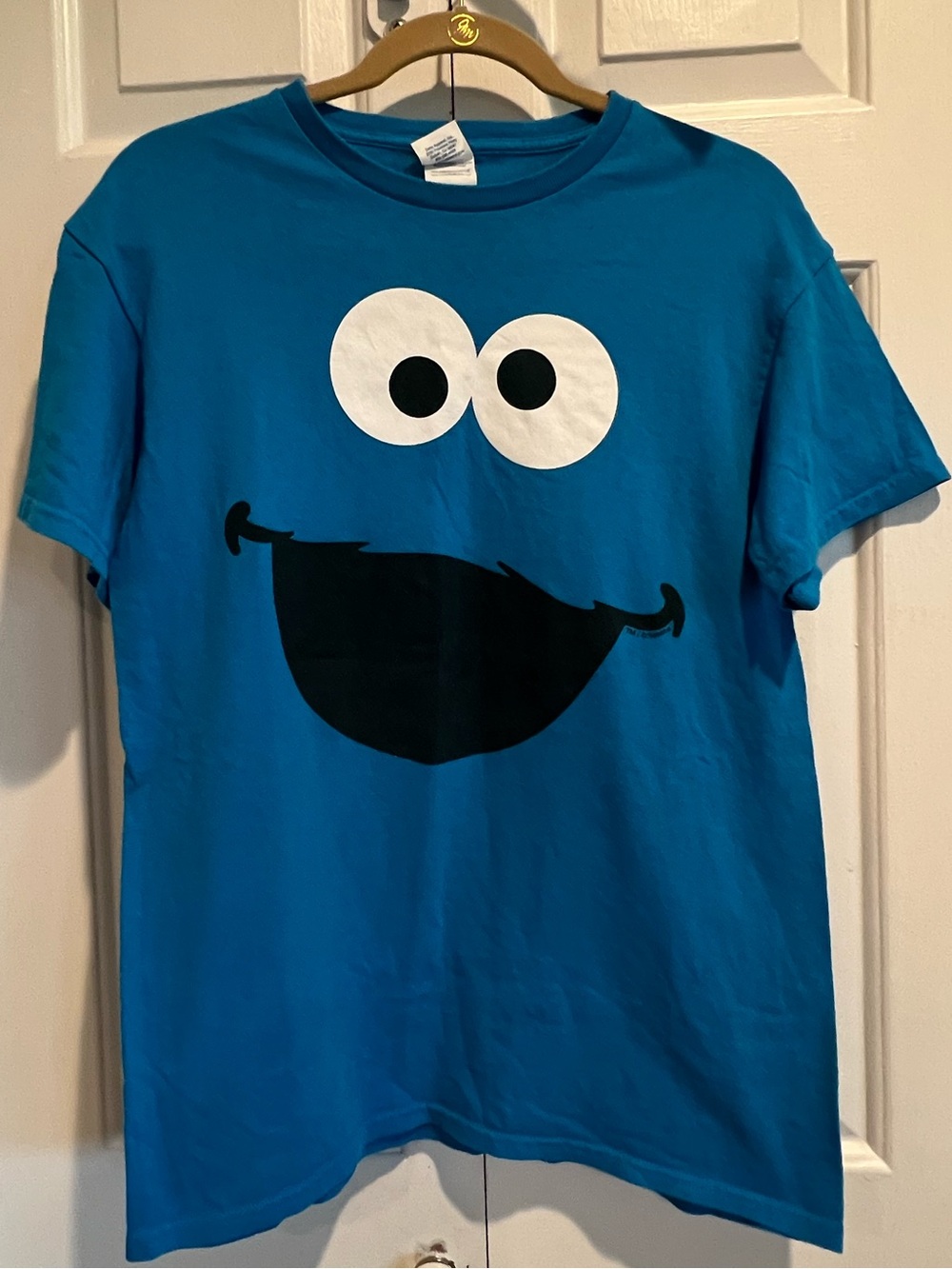 Blue💙Cookie Monster Graphic Tee- Sesame Street